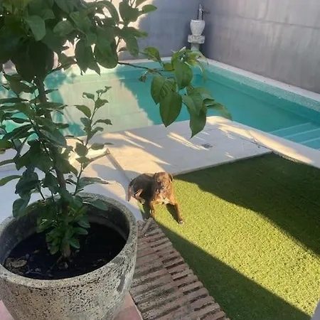 Atuaire Sevilla